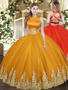 Ideal Orange Two Pieces Appliques Sweet 16 Dress Criss Cross Tulle Sleeveless Floor Length