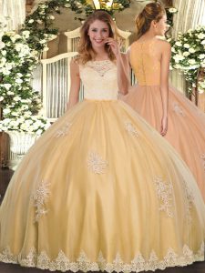 Smart Gold Tulle Clasp Handle 15th Birthday Dress Sleeveless Floor Length Lace and Appliques