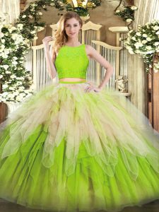 Beauteous Floor Length Multi-color 15 Quinceanera Dress Organza Sleeveless Lace and Ruffles