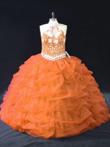 Beauteous Organza Sleeveless Floor Length Quinceanera Dress and Pick Ups