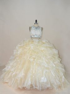 Exceptional Champagne Sleeveless Organza Brush Train Zipper 15th Birthday Dress for Sweet 16 and Quinceanera