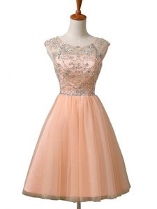 Fashion Peach Sleeveless Tulle Zipper Prom Dresses for Prom and Party
