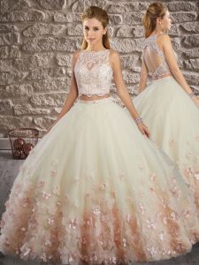 Fashionable Tulle Sleeveless Floor Length Quince Ball Gowns and Lace and Appliques