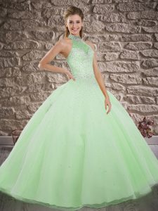 Fitting Brush Train Ball Gowns Sweet 16 Dress Halter Top Tulle Sleeveless Lace Up