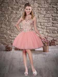 Sleeveless Lace Up Mini Length Embroidery Prom Dress