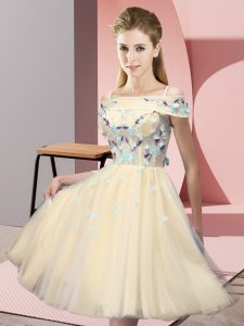 Glamorous Short Sleeves Appliques Lace Up Court Dresses for Sweet 16