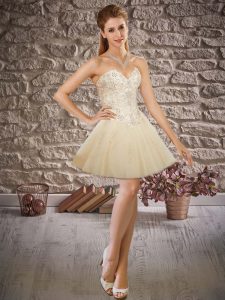 Fantastic Sleeveless Tulle Mini Length Lace Up in Champagne with Lace