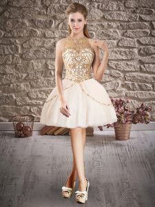 Glittering Scoop Sleeveless Backless Dress for Prom Champagne Tulle