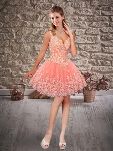 Fitting Pink Sleeveless Tulle Lace Up Casual Dresses for Prom and Party