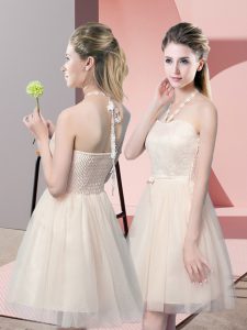 Dramatic Champagne A-line Tulle Halter Top Sleeveless Lace Mini Length Side Zipper Prom Dresses