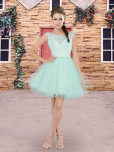 Baby Blue and Apple Green Tulle Lace Up Quinceanera Court of Honor Dress Sleeveless Mini Length Beading and Lace