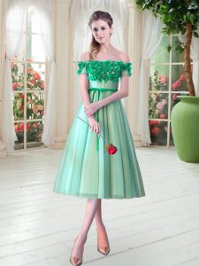 Tulle Off The Shoulder Sleeveless Lace Up Appliques Prom Dress in Turquoise