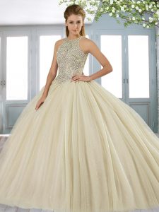 Ball Gowns Sleeveless Light Yellow Quinceanera Dress Sweep Train Lace Up