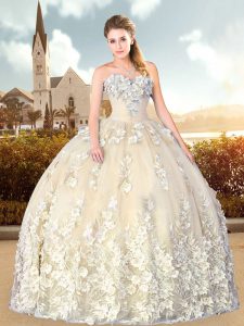 Exquisite Sleeveless Floor Length Appliques Lace Up Quinceanera Dresses with Champagne
