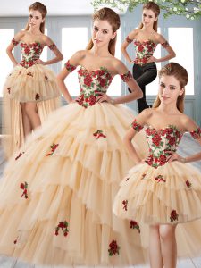 Colorful Sleeveless Floor Length Appliques Lace Up Quinceanera Dresses with Champagne