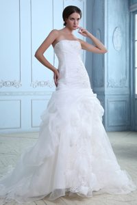 Strapless Zipper-up White Organza Wedding Dress for Summer with Appliques
