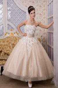 Chic Baby Pink Strapless Ankle-length Ball Gown Wedding Dress with Appliques
