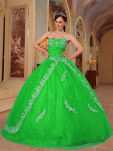 Inexpensive Sweetheart Embroidery Sweet 16 Dresses in Spring Green