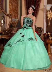 Apple Green Quinceanera Gown with Embroidery on Promotion