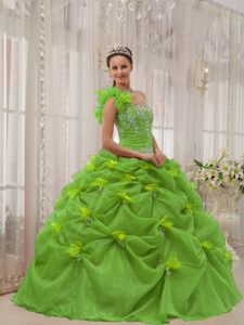 Spring Green Ball Gown One Shoulder Sweet Quince Dresses in Organza