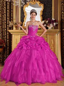 Sweetheart Organza Sweet Sixteen Quince Dress with Appliques in Fuchsia
