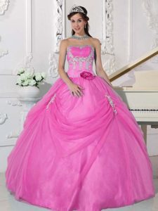 Appliqued Ball Gown Pink Sweet Fifteen Dresses with Hand Made Flower for Fall