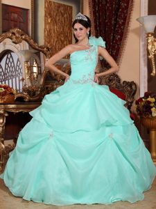 Apple Green One Shoulder Quinceanera Gown Dresses in Organza with Appliques