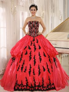 Brand New 2013 Appliqued Quinceanera Dress with Embroidery in Red and Black