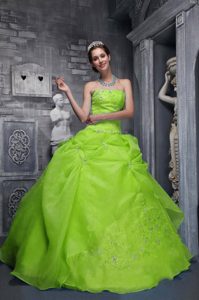 Dressy 2013 Yellow Green Quinceanera Gown Dress with Appliques and Strapless