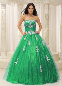 Wonderful Green Quinceaneras Dress with Appliques and Sequins for 2014