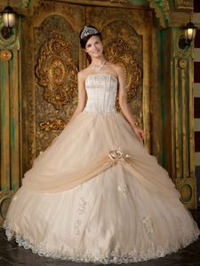 Pretty Quinceanera Gown Dresses with Handmade Flower in Champagne