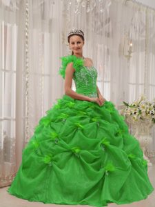Green One-shoulder Quinceaneras Dresses in Organza with Appliques