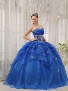 Appliqued Blue Quinceanera Dress in Organza with Beading