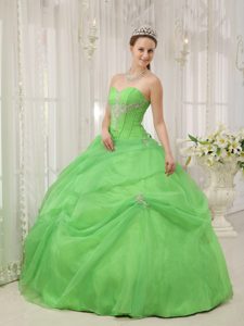Sweetheart Quinceanera Gown Dresses with Appliques in Spring Green
