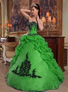 Green Taffeta and Organza Quince Dresses with Beading and Pick-ups