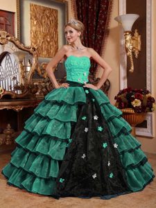 Multi-color Strapless Appliqued Quinces Dress in Organza with Flowers