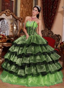 Fitted Multi-color Sweet 16 Dresses in Organza with Ruffles