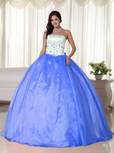 Aqua Blue Strapless Embroidery Quinceanera Gown in Organza on Sale