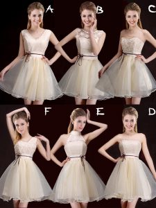 Champagne Wedding Party Dress Prom and Party and Wedding Party and For with Lace and Appliques and Belt V-neck Sleeveles