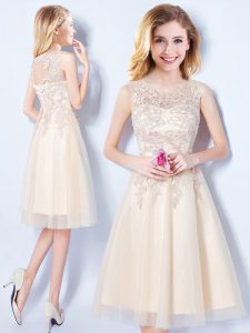 Champagne Tulle Lace Up Scoop Sleeveless Knee Length Bridesmaid Dresses Appliques