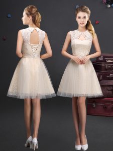 Sumptuous Lace and Appliques and Belt Wedding Guest Dresses Champagne Lace Up Sleeveless Mini Length
