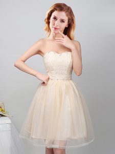 Champagne Tulle Lace Up Wedding Party Dress Sleeveless Mini Length Lace and Appliques