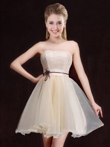 Champagne Sleeveless Organza Lace Up Wedding Guest Dresses for Prom and Party and Wedding Party