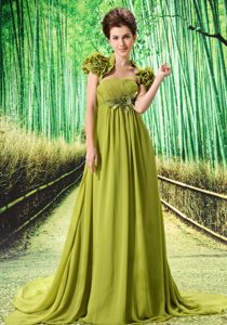 Olive Green Uptown Celebrity Dresses for Beauty and Geeks with Flowers