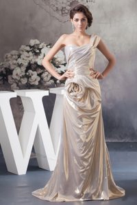 Romantic Flower Accent One Shoulder Celebrities Dresses in Champagne