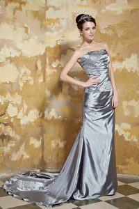 Wonderful Lace-up Court Train Silk Like Satin Grey Celeb Dresses for Less