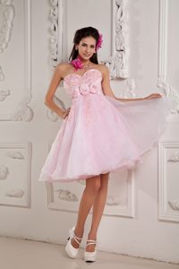 Customize Baby Pink Princess Organza Prom Cocktail Dresses with Appliques