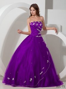 Purple Taffeta and Tulle Sweet Sixteen Dress with Appliques and Beading