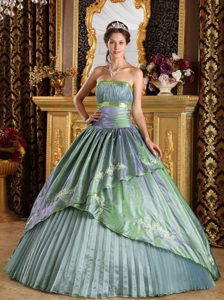 Olive Green Quinceanera Dresses with Appliques in Taffeta and Organza