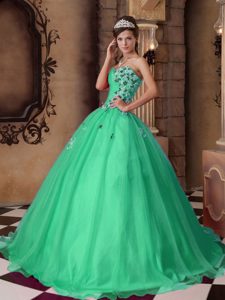Sweetheart Green Organza Quinceanera Dress with Shining Beading for Less